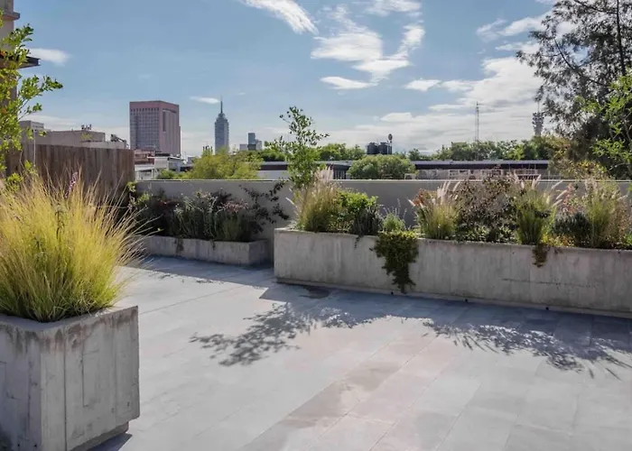 Apartment Designer Loft City's Vibrant Centro